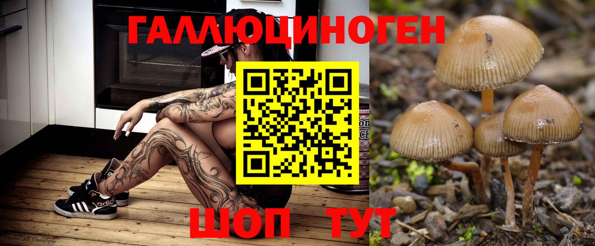 Галлюциногенные грибы MAGIC MUSHROOMS Кимры